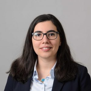 Prof. Burcu Beykal, Ph.D.