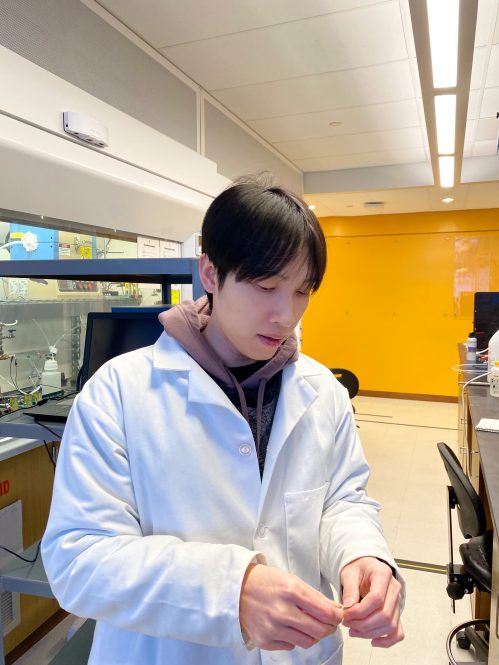 Postdoc Hoang Quan Truong